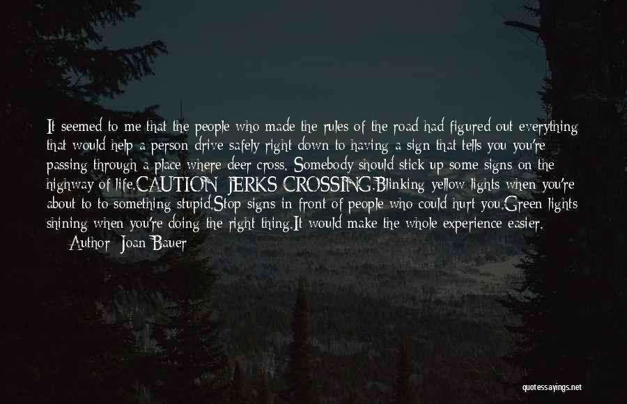 When You Hurt Quotes By Joan Bauer
