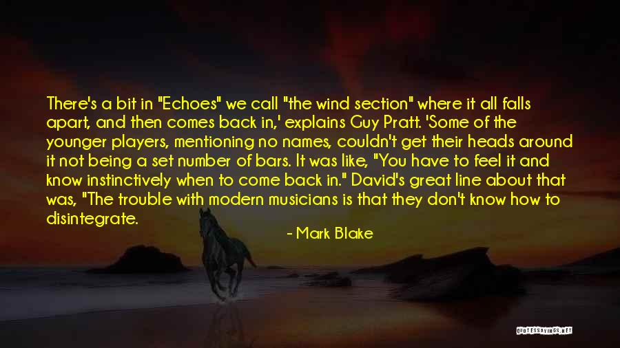 When You Like A Guy Quotes By Mark Blake