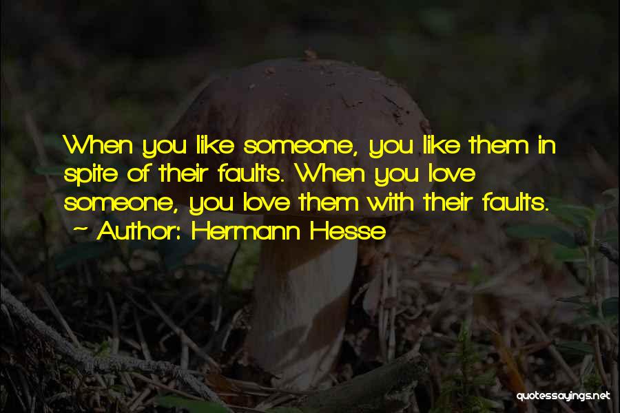 When You Like Someone Quotes By Hermann Hesse