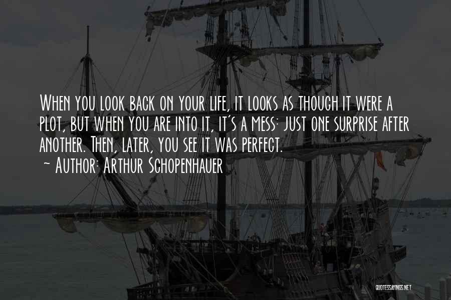 When You Look Back On Life Quotes By Arthur Schopenhauer