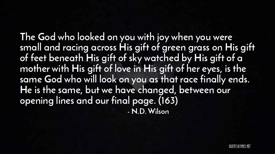 When You Look In Her Eyes Quotes By N.D. Wilson