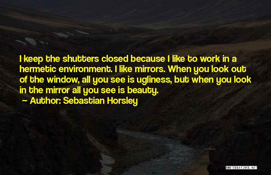When You Look In The Mirror Quotes By Sebastian Horsley