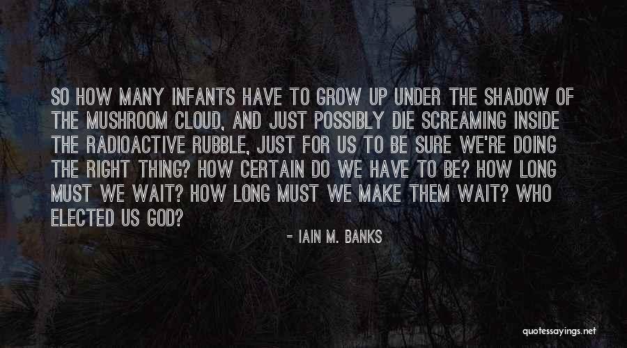 When You Look In The Rear View Mirror Quotes By Iain M. Banks When You Look In The Rear View Mirror Quotes By Iain M. Banks