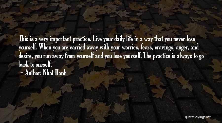 When You Lose Your Way Quotes By Nhat Hanh