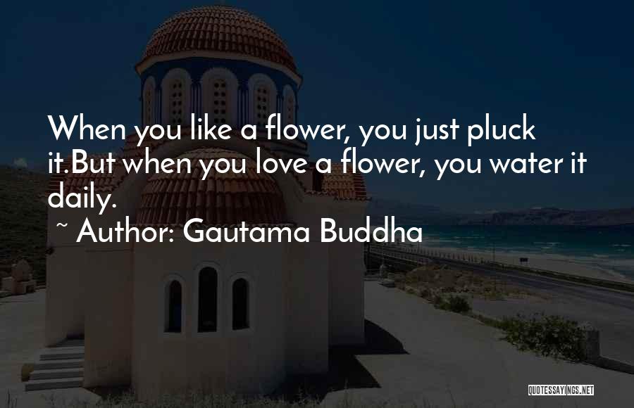 When You Love Quotes By Gautama Buddha