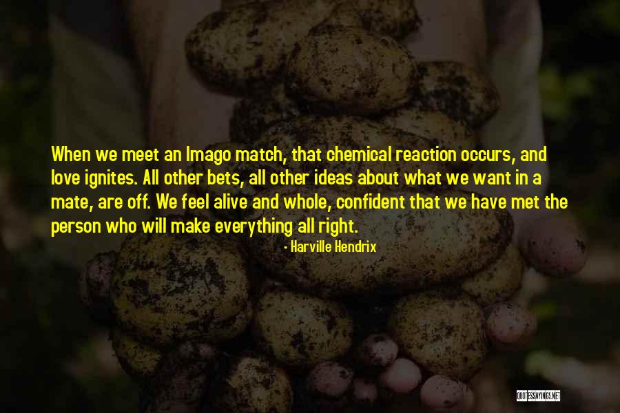 When You Meet Your Match Quotes By Harville Hendrix When You Meet Your Match Quotes By Harville Hendrix