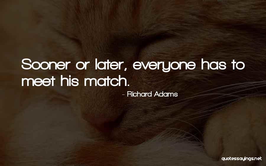 When You Meet Your Match Quotes By Richard Adams When You Meet Your Match Quotes By Richard Adams