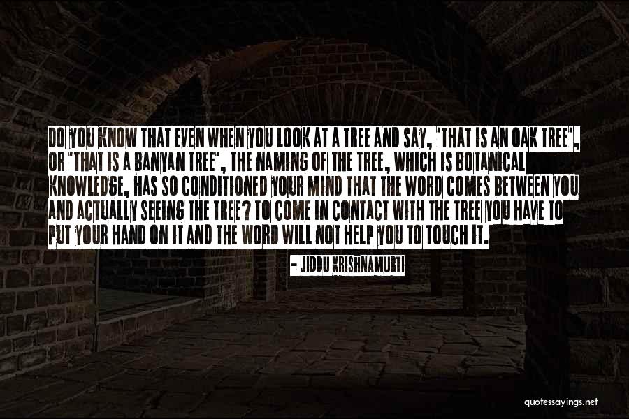 When You Put Your Mind To It Quotes By Jiddu Krishnamurti When You Put Your Mind To It Quotes By Jiddu Krishnamurti