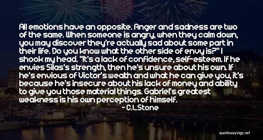 When You Re Sad I Sad Quotes By C.L.Stone