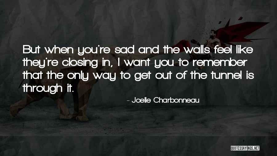 When You Re Sad I Sad Quotes By Joelle Charbonneau