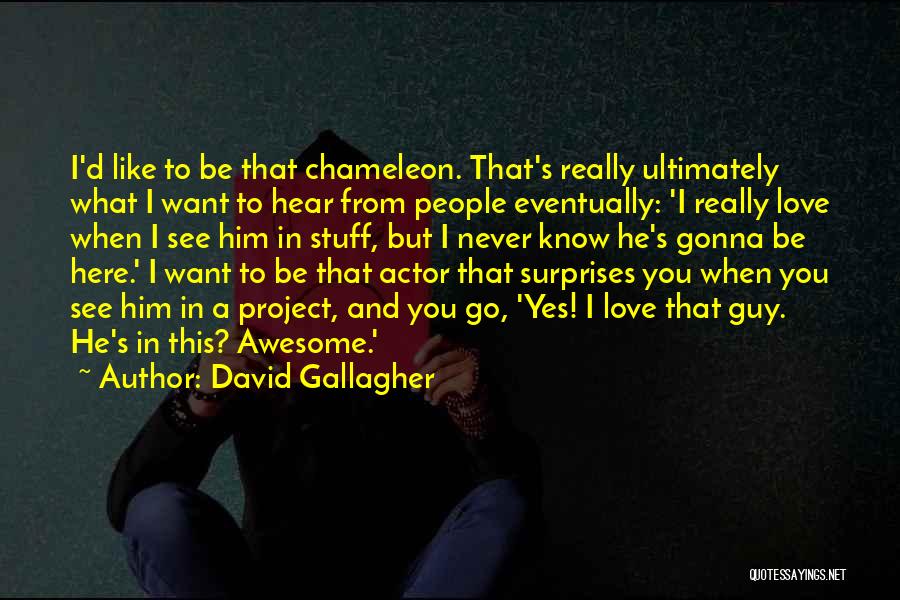 When You Really Like A Guy Quotes By David Gallagher