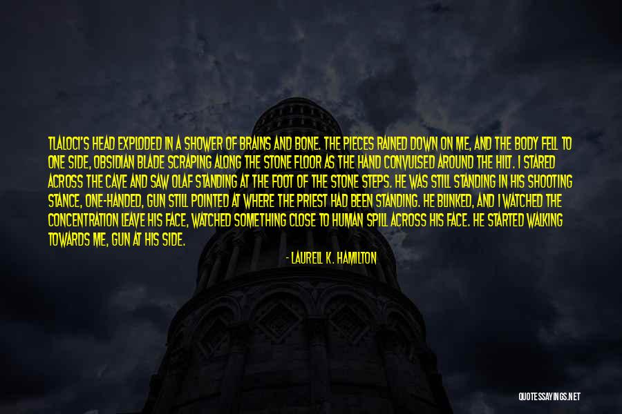 When You See Me Smile Quotes By Laurell K. Hamilton When You See Me Smile Quotes By Laurell K. Hamilton