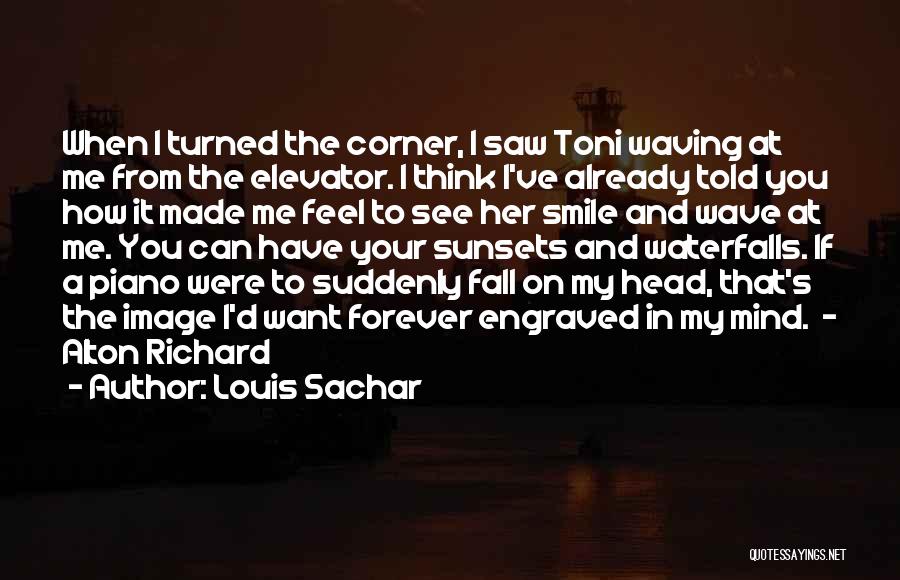 When You See Me Smile Quotes By Louis Sachar