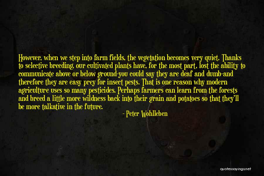 When You Step Back Quotes By Peter Wohlleben When You Step Back Quotes By Peter Wohlleben