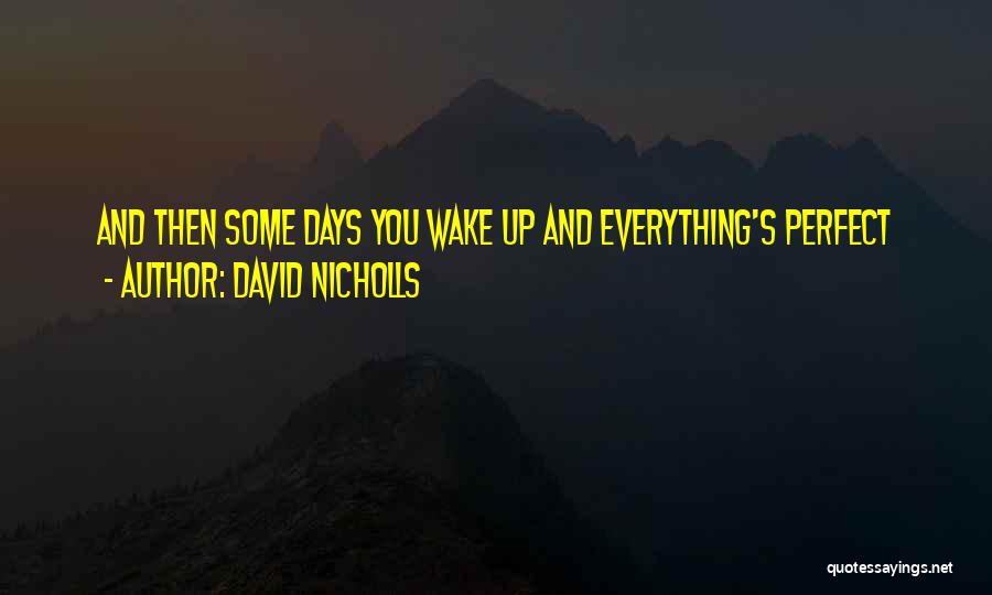 When You Think Everything Is Perfect Quotes By David Nicholls
