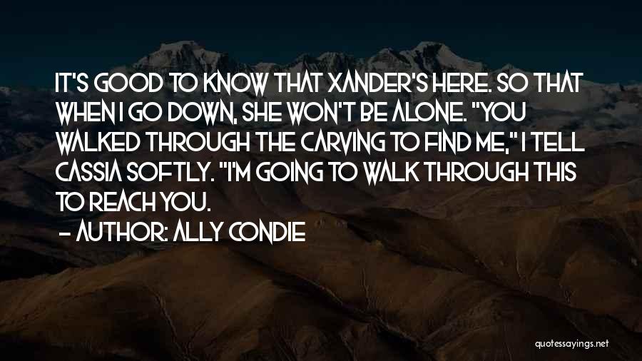 When You Walk Alone Quotes By Ally Condie