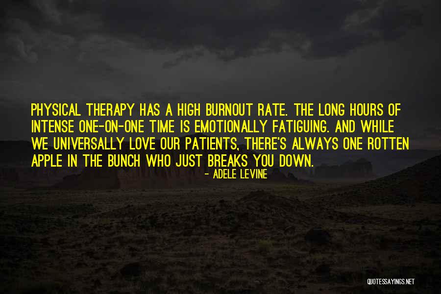When Your Burnout Quotes By Adele Levine When Your Burnout Quotes By Adele Levine