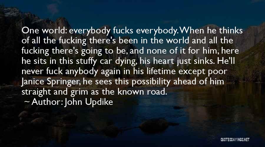 When Your Heart Sinks Quotes By John Updike