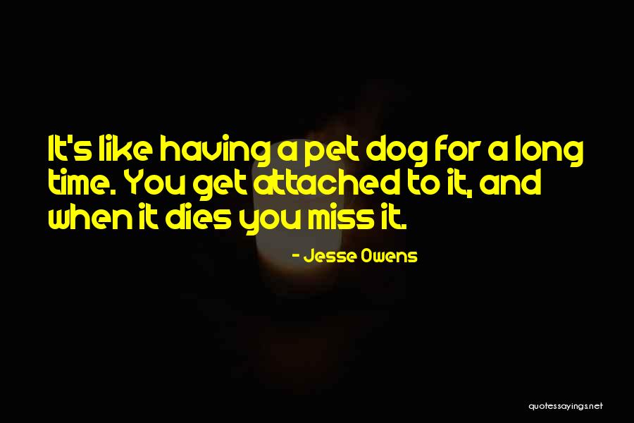 When Your Pet Dies Quotes By Jesse Owens When Your Pet Dies Quotes By Jesse Owens