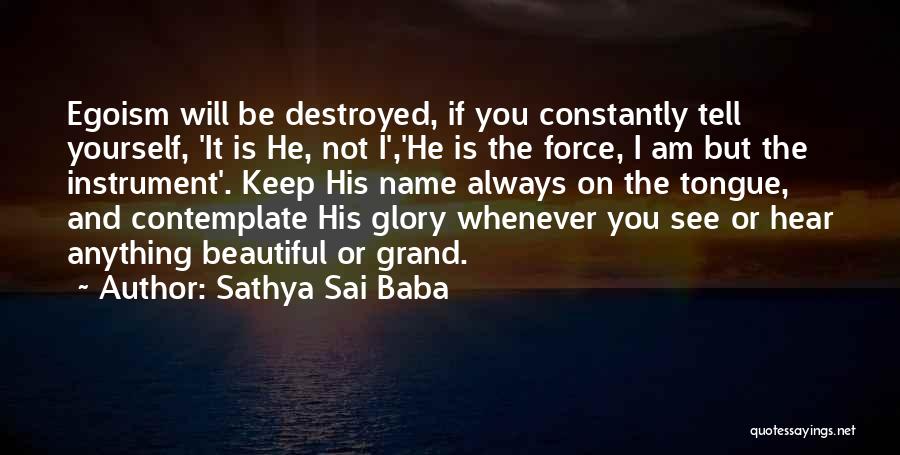Whenever I See You Quotes By Sathya Sai Baba