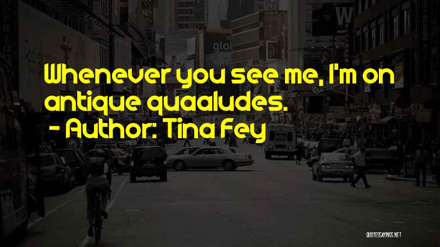 Whenever I See You Quotes By Tina Fey