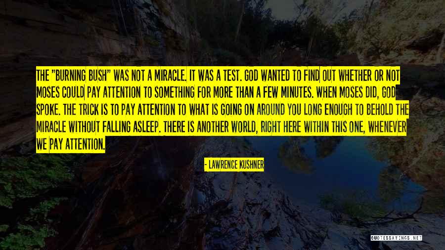 Whenever You Fall Quotes By Lawrence Kushner