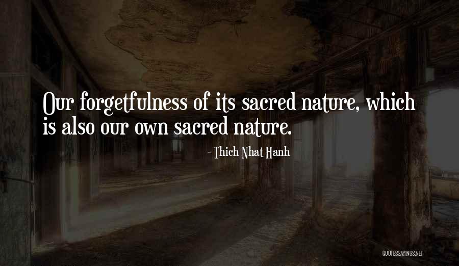 Whentime Quotes By Thich Nhat Hanh Whentime Quotes By Thich Nhat Hanh