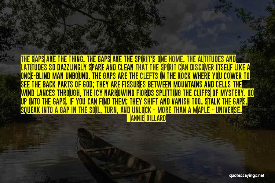 Where Are You God Quotes By Annie Dillard Where Are You God Quotes By Annie Dillard