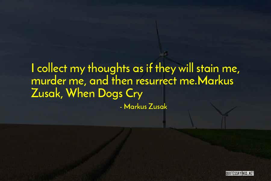 Where Dogs Come Quotes By Markus Zusak Where Dogs Come Quotes By Markus Zusak