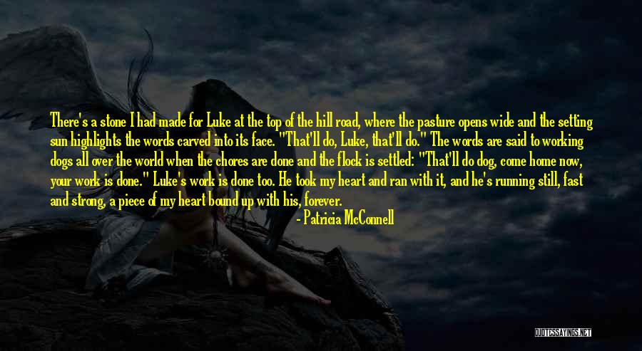 Where Dogs Come Quotes By Patricia McConnell Where Dogs Come Quotes By Patricia McConnell