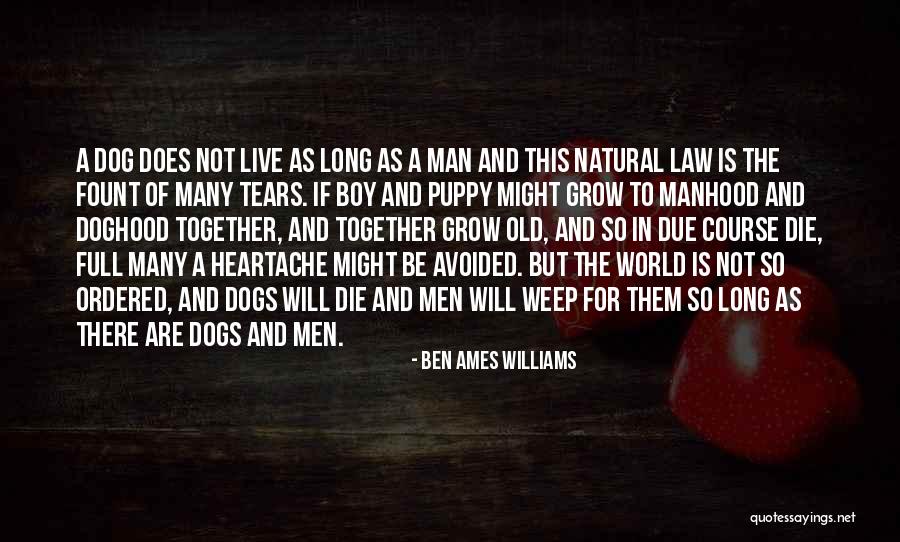 Where Dogs Go When They Die Quotes By Ben Ames Williams Where Dogs Go When They Die Quotes By Ben Ames Williams