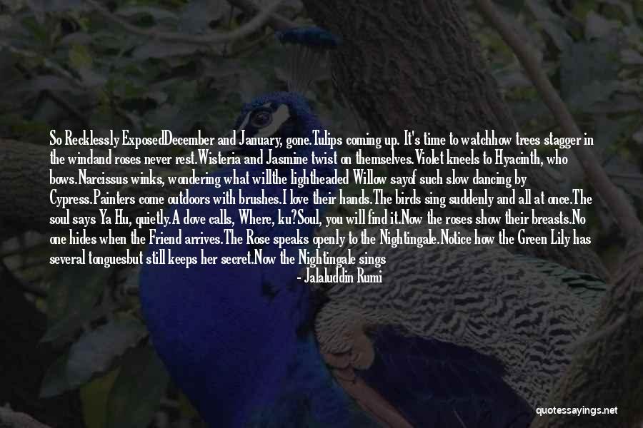 Where Has The Love Gone Quotes By Jalaluddin Rumi Where Has The Love Gone Quotes By Jalaluddin Rumi