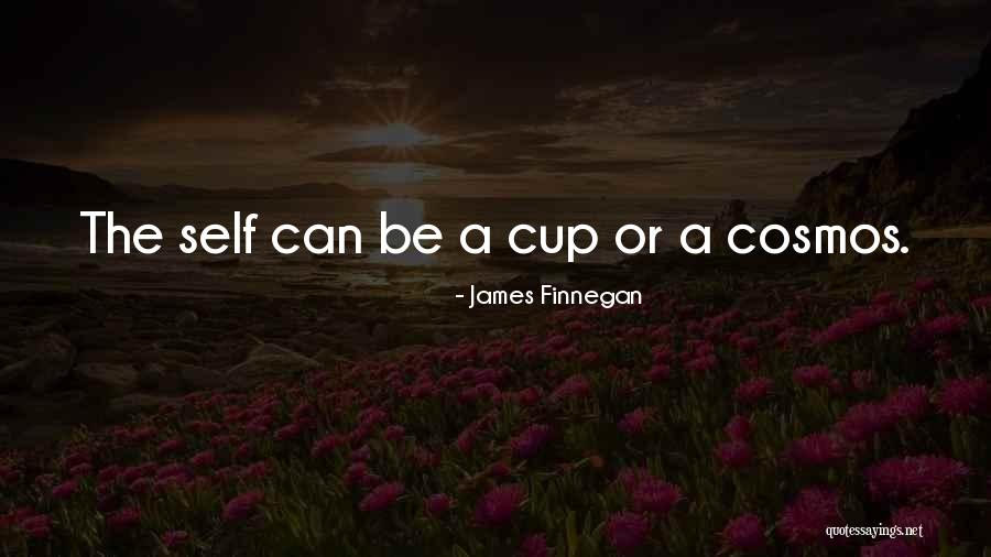 Where Is Finnegan In All This Quotes By James Finnegan Where Is Finnegan In All This Quotes By James Finnegan
