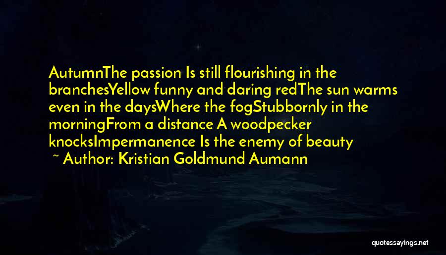 Where Is The Passion Quotes By Kristian Goldmund Aumann