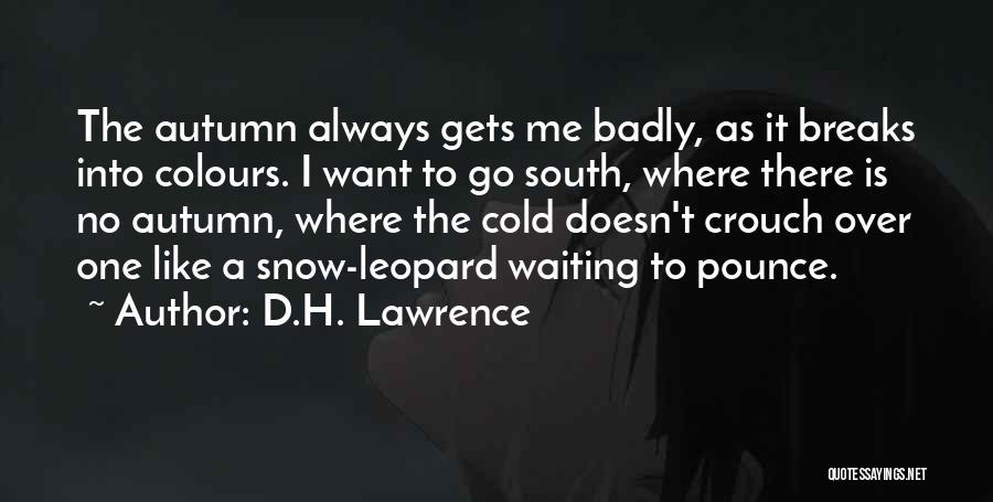 Where Is The Snow Quotes By D.H. Lawrence