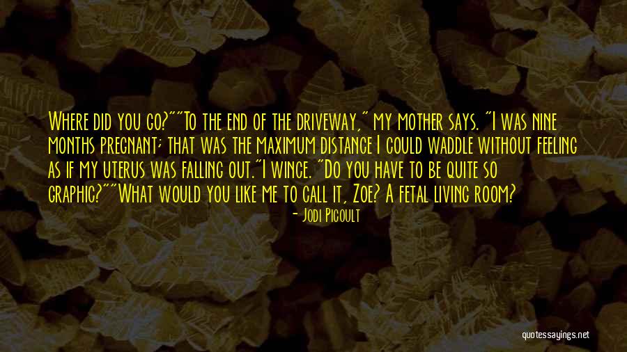 Where To Go Quotes By Jodi Picoult