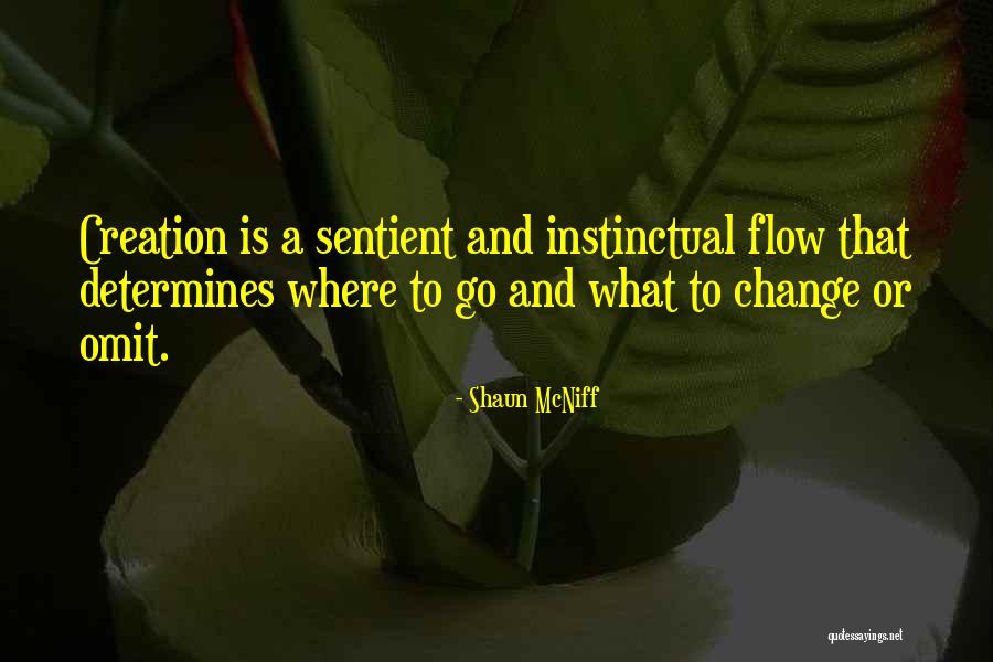 Where To Go Quotes By Shaun McNiff Where To Go Quotes By Shaun McNiff