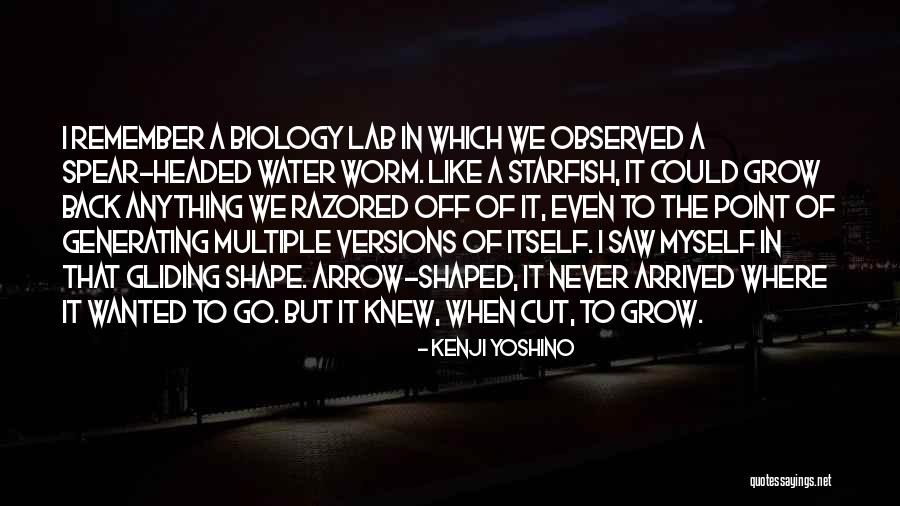 Where Water Quotes By Kenji Yoshino Where Water Quotes By Kenji Yoshino