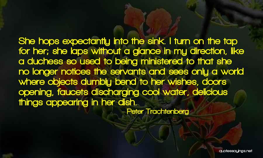 Where Water Quotes By Peter Trachtenberg Where Water Quotes By Peter Trachtenberg