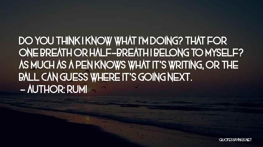 Where You Belong Quotes By Rumi