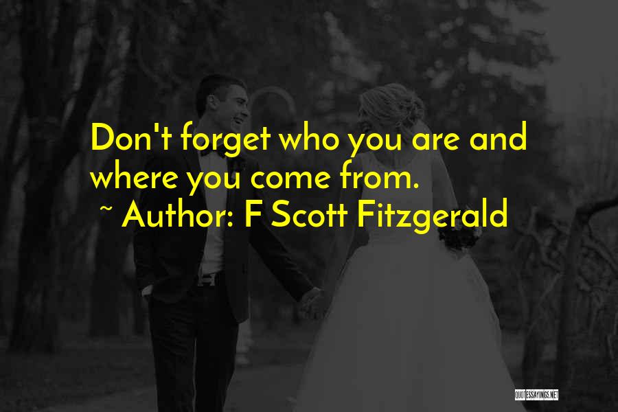 Where You Come From Quotes By F Scott Fitzgerald