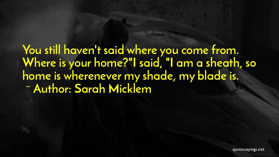 Where You Come From Quotes By Sarah Micklem