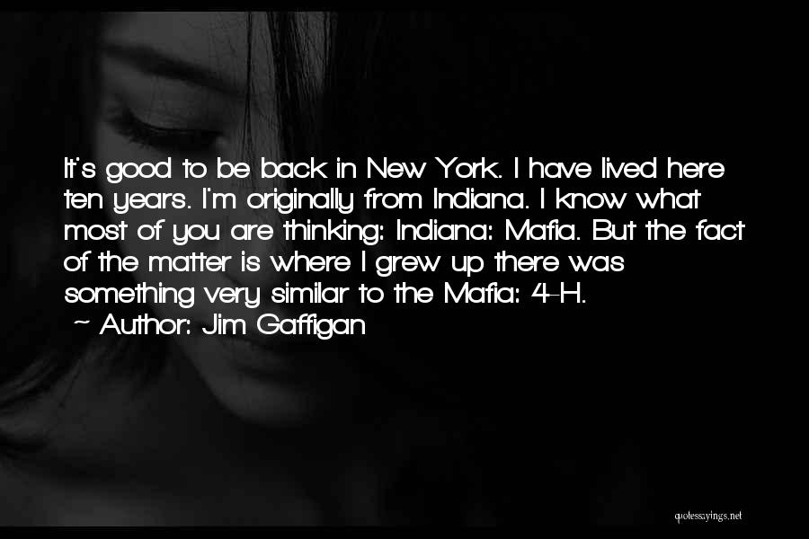 Where You Grew Up Quotes By Jim Gaffigan