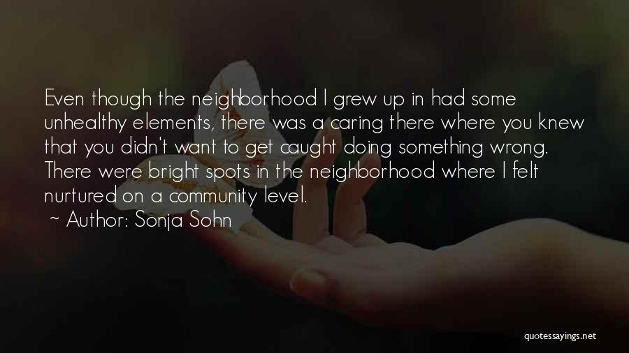 Where You Grew Up Quotes By Sonja Sohn