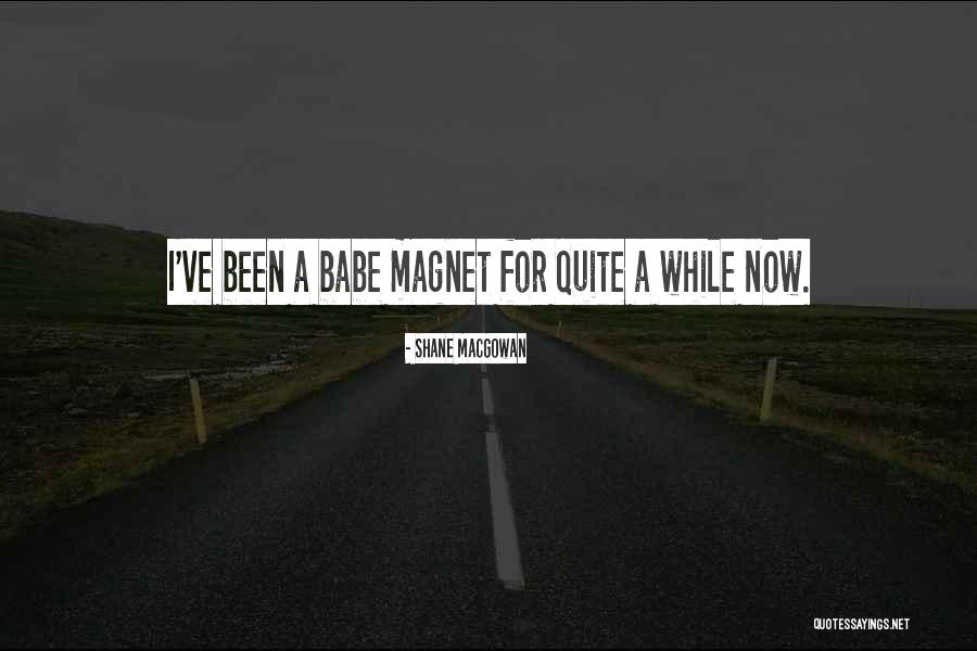 While I Quotes By Shane MacGowan While I Quotes By Shane MacGowan
