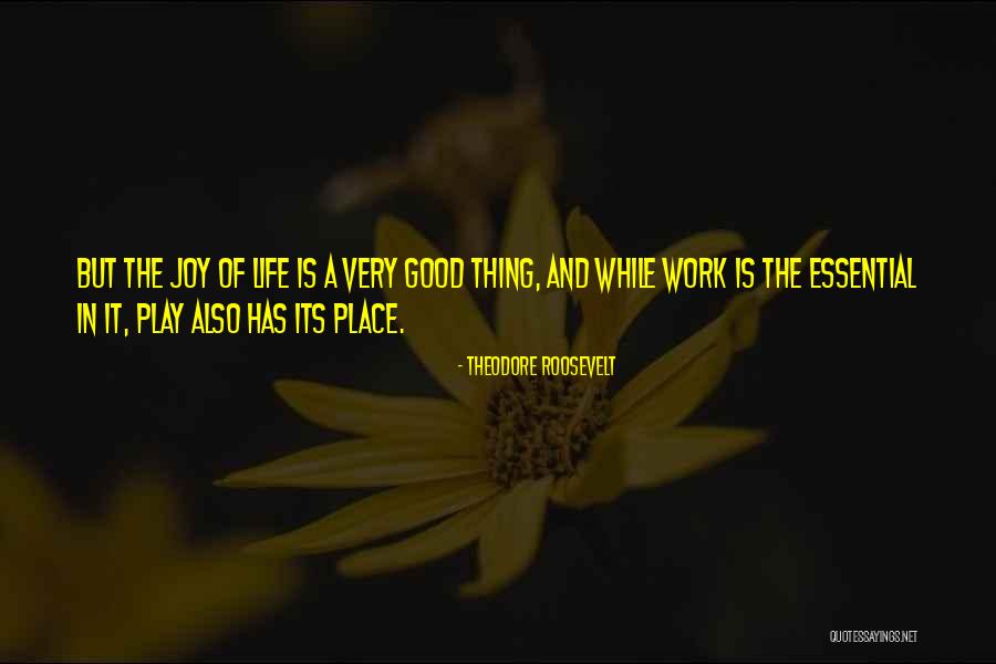 While Its Quotes By Theodore Roosevelt While Its Quotes By Theodore Roosevelt