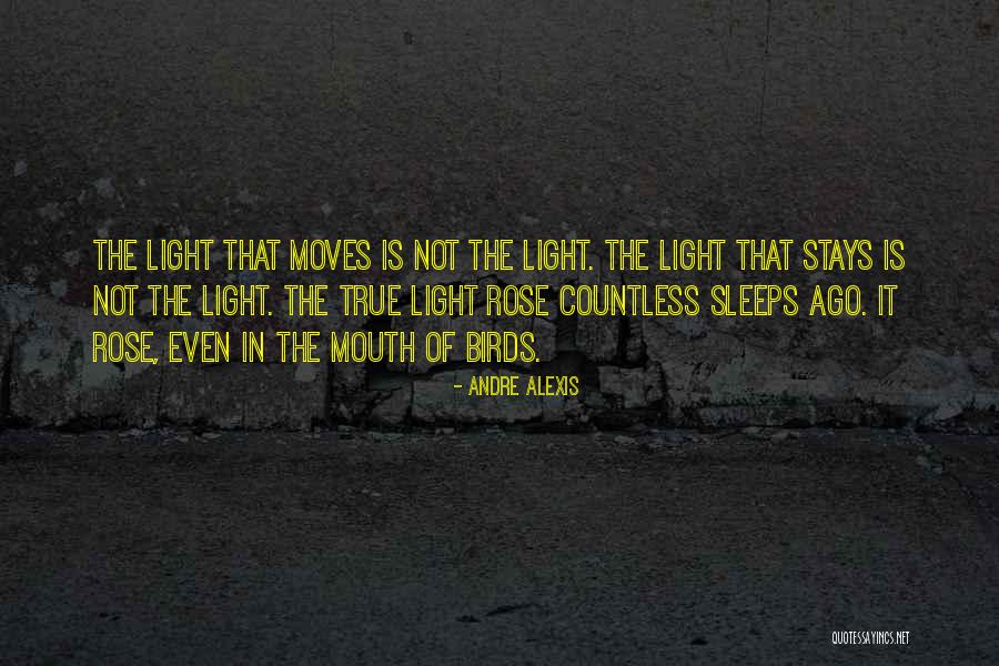 While She Sleeps Quotes By Andre Alexis