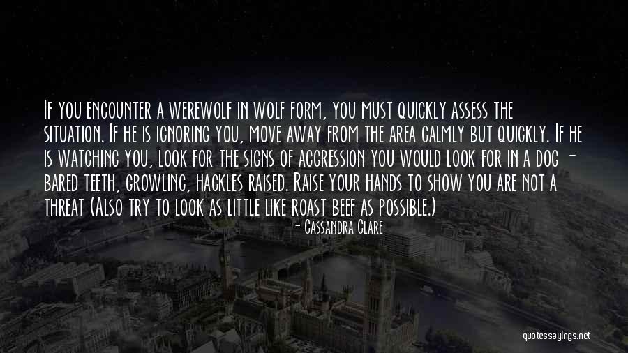 While You're Ignoring Me Quotes By Cassandra Clare While You're Ignoring Me Quotes By Cassandra Clare