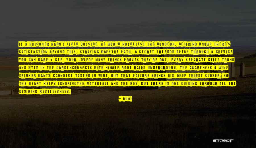 While You're Ignoring Me Quotes By Rumi While You're Ignoring Me Quotes By Rumi