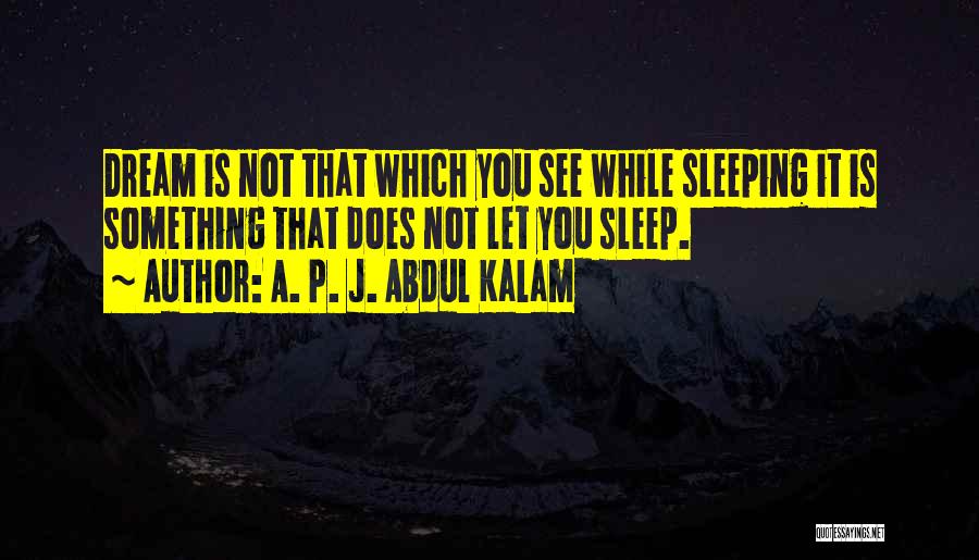 While You're Sleeping Quotes By A. P. J. Abdul Kalam